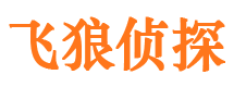 南湖市侦探公司